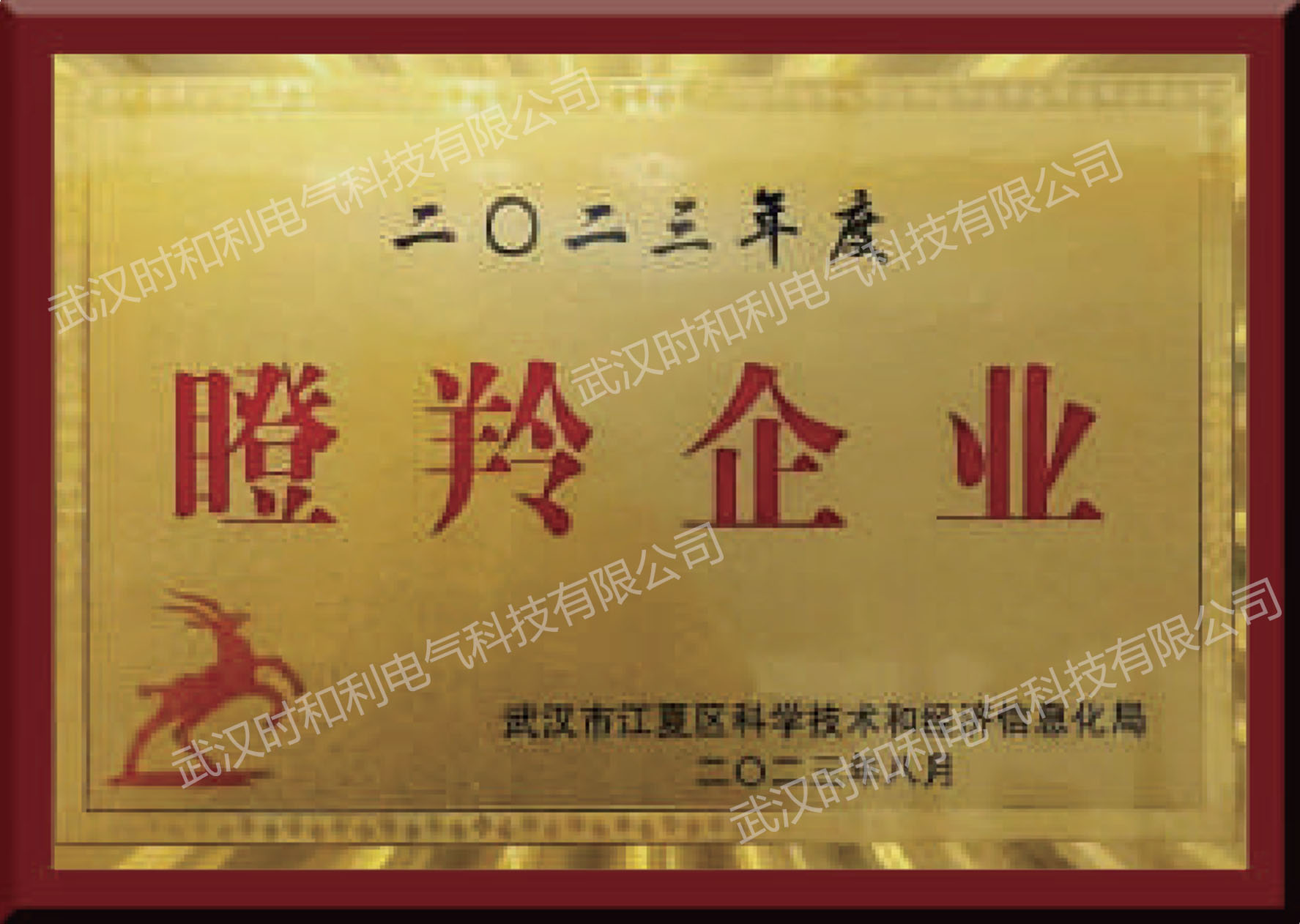 瞪羚企業